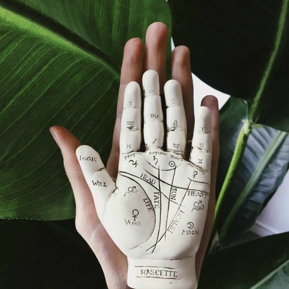 Palmistry Hand Figurine – Terra Soleil